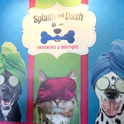 Splash and Dash Groomerie & Boutique