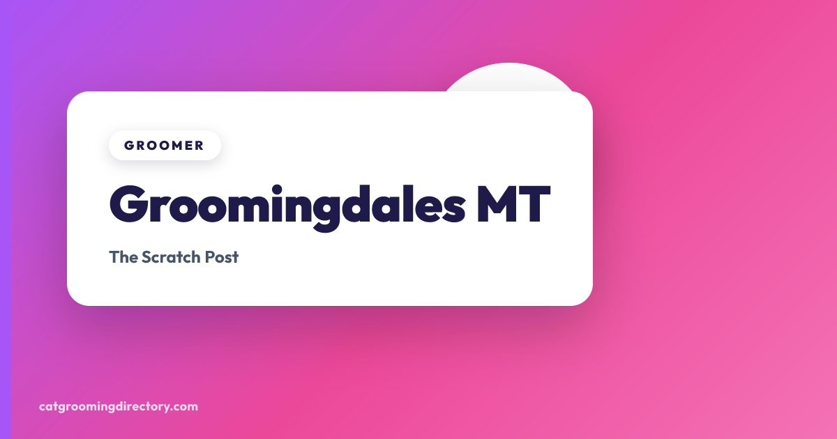 Groomingdales MT - Cat Grooming in Missoula, Montana | Cat Grooming ...
