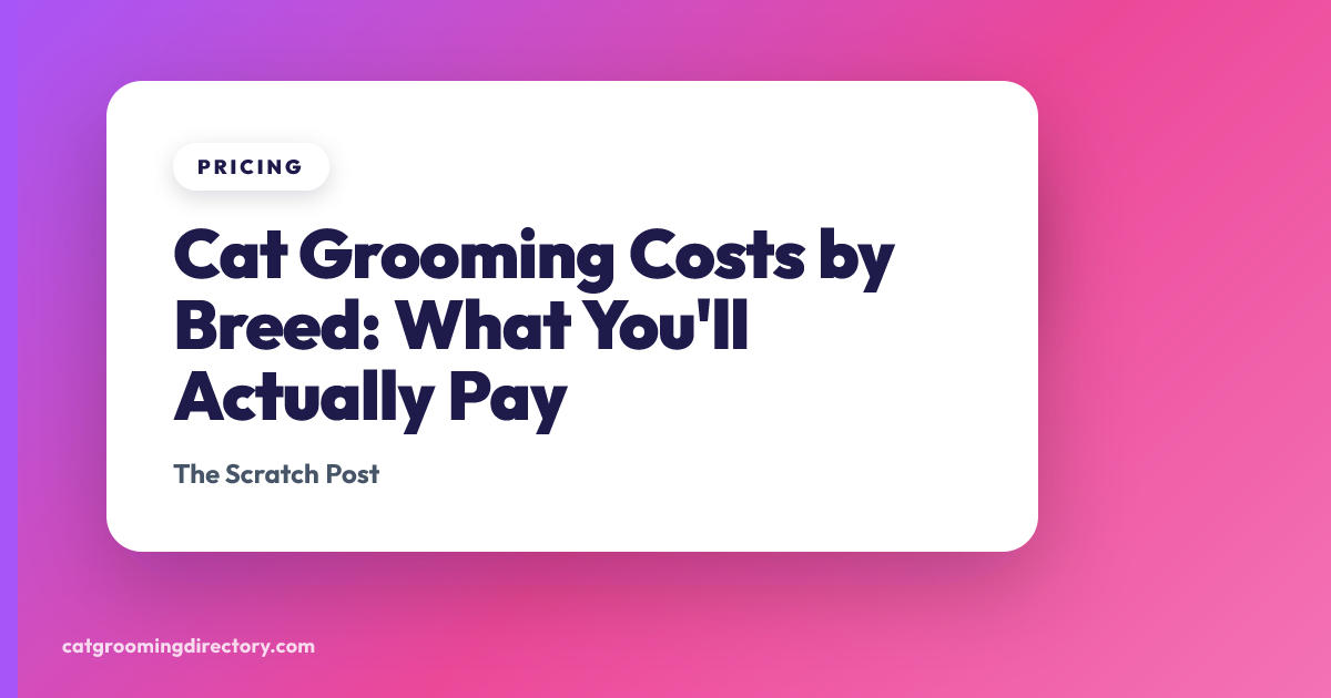 Cat Grooming Costs by Breed: What You'll Actually Pay | Cat Grooming ...