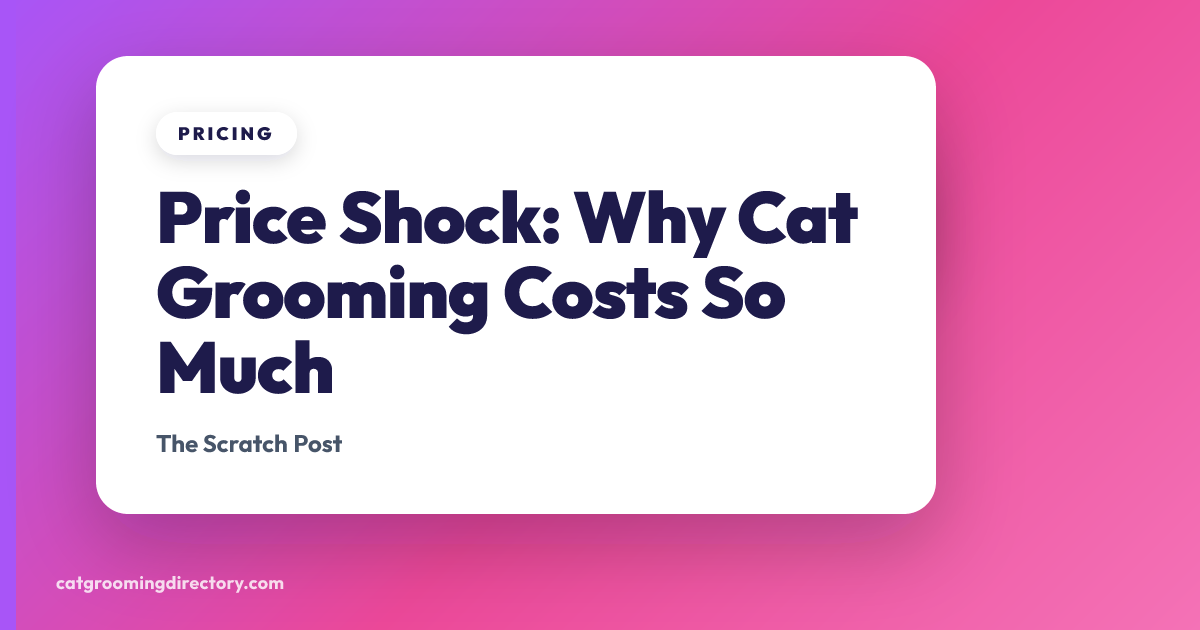 Price Shock: Why Cat Grooming Costs So Much | Cat Grooming Directory ...