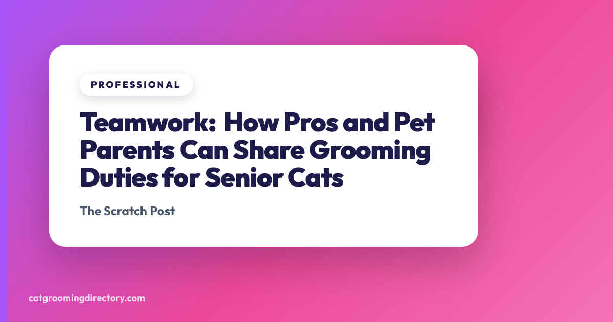 Teamwork: How Pros and Pet Parents Can Share Grooming Duties for Senior ...
