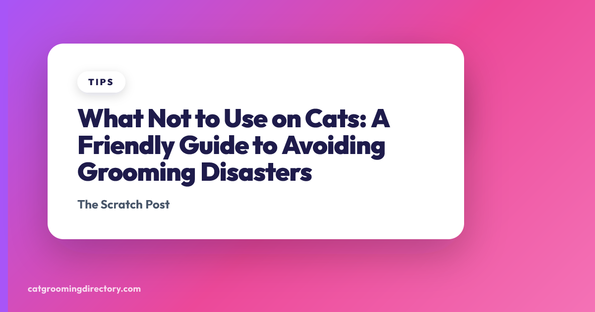 What Not to Use on Cats: A Friendly Guide to Avoiding Grooming ...