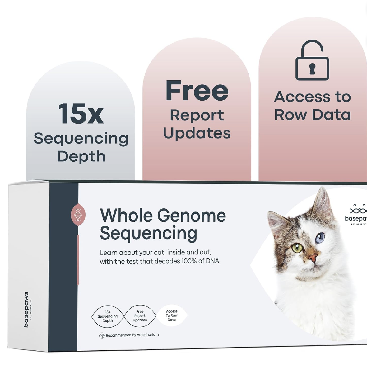 Basepaws Cat DNA Test Kit — Breed, Health & Dental Analysis