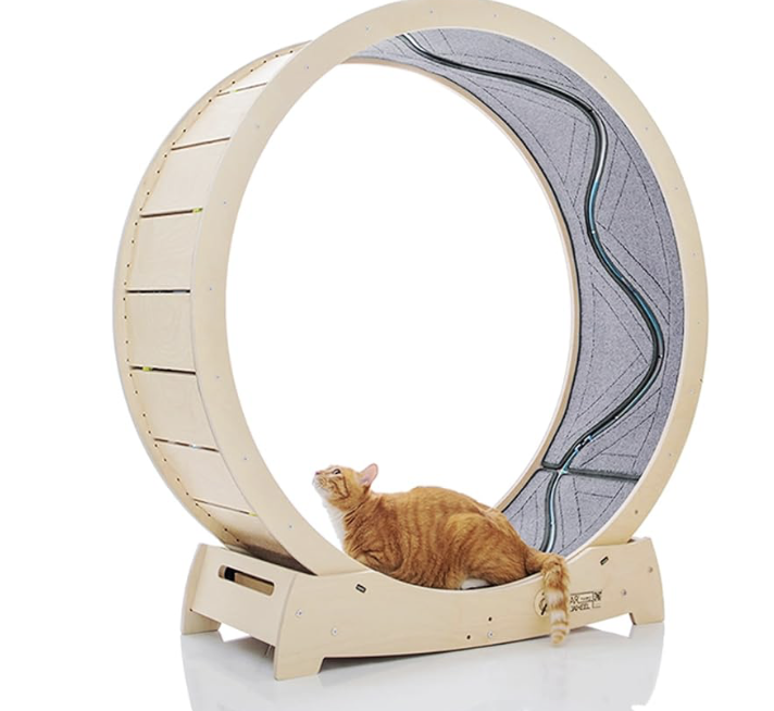 Star Cat Wheel Exercise Treadmill, Birch Wood, 47.2" XL